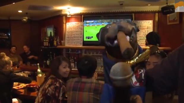 Triumph insult comic dog world cup2